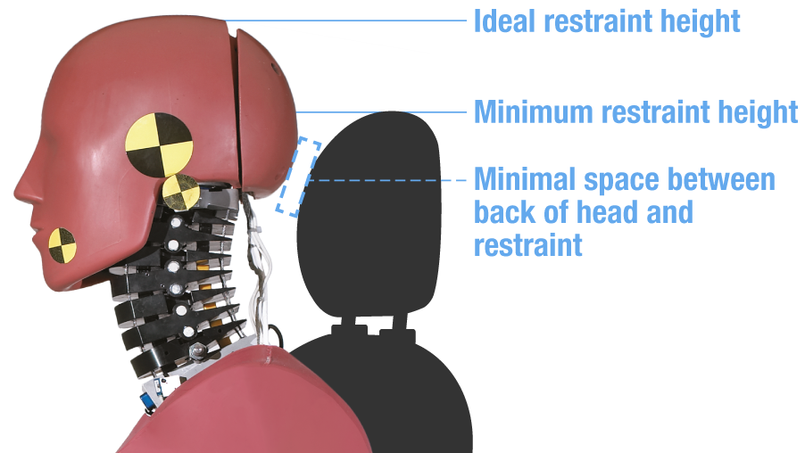 Head restraint geometry graphic